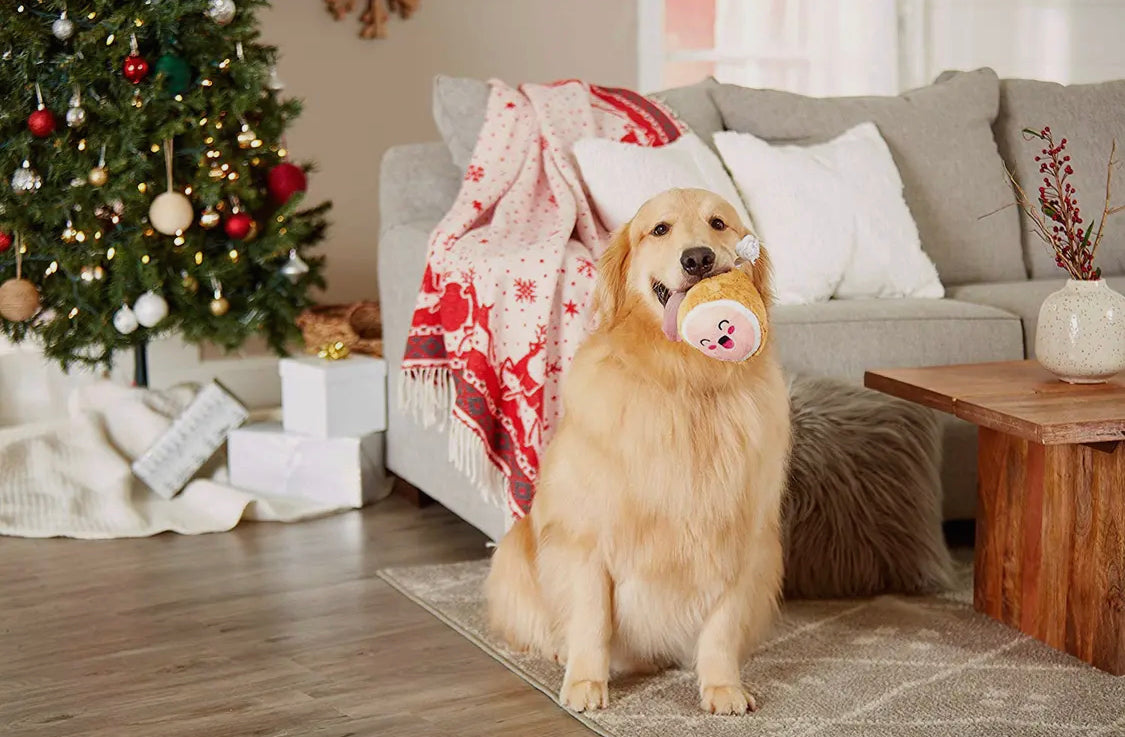 MC Hammy Plush Dog Toy