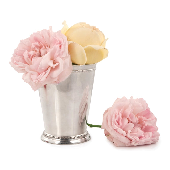 Silver-Plated Solid Brass Mint Julip Cups (Set of 4)