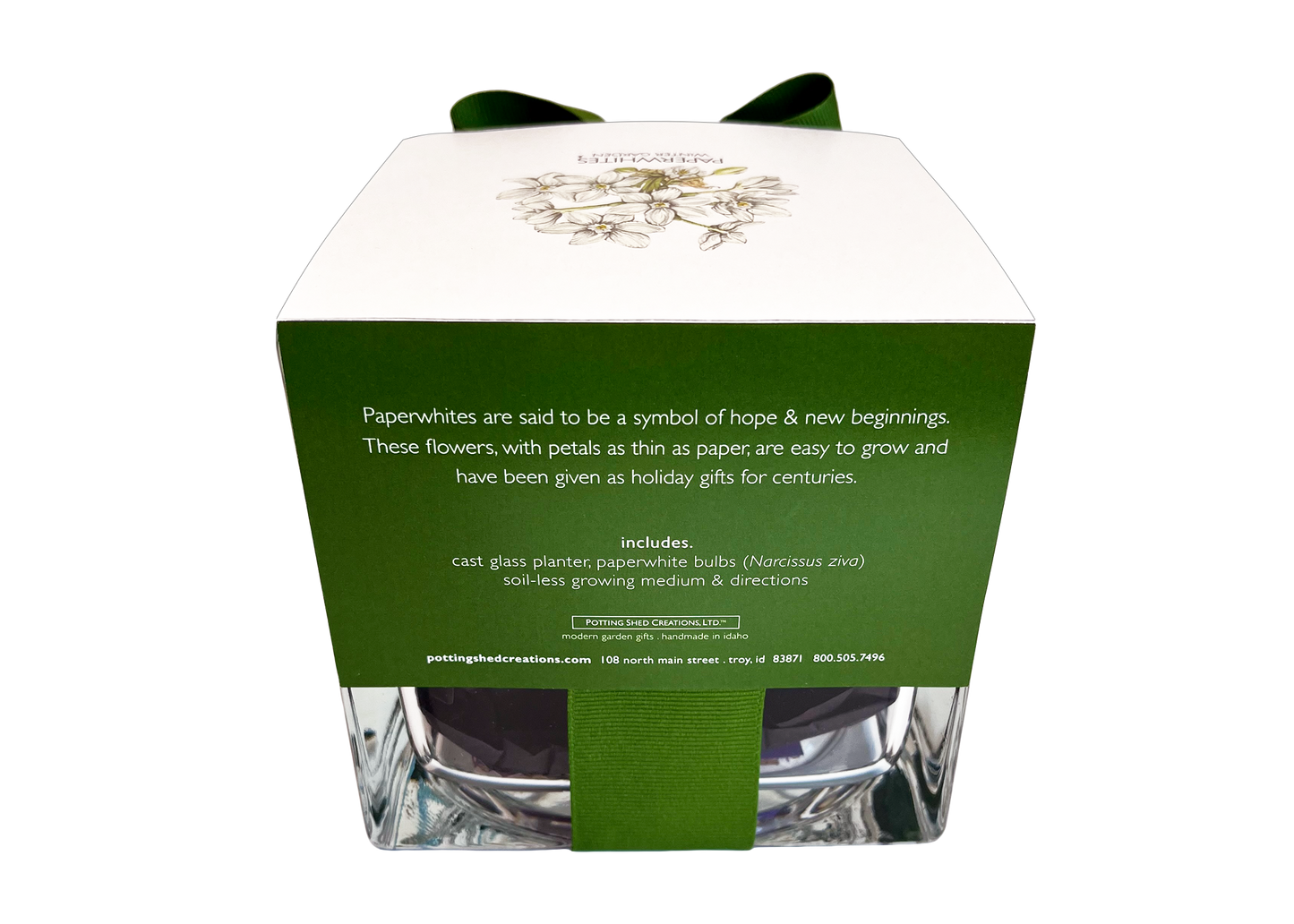 Paperwhites Winter Garden Gift Set