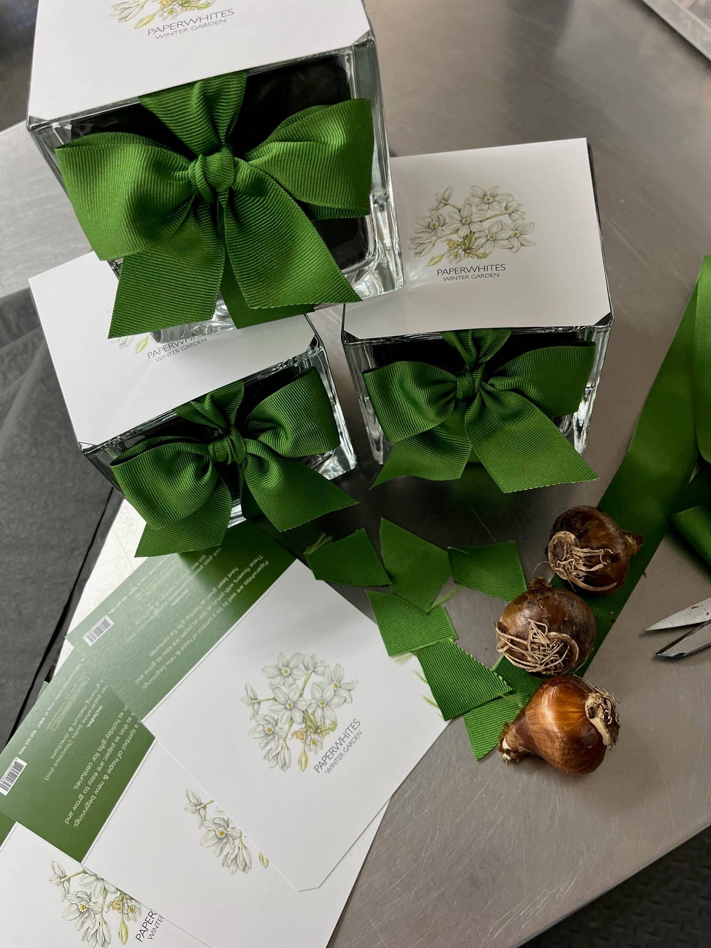 Paperwhites Winter Garden Gift Set