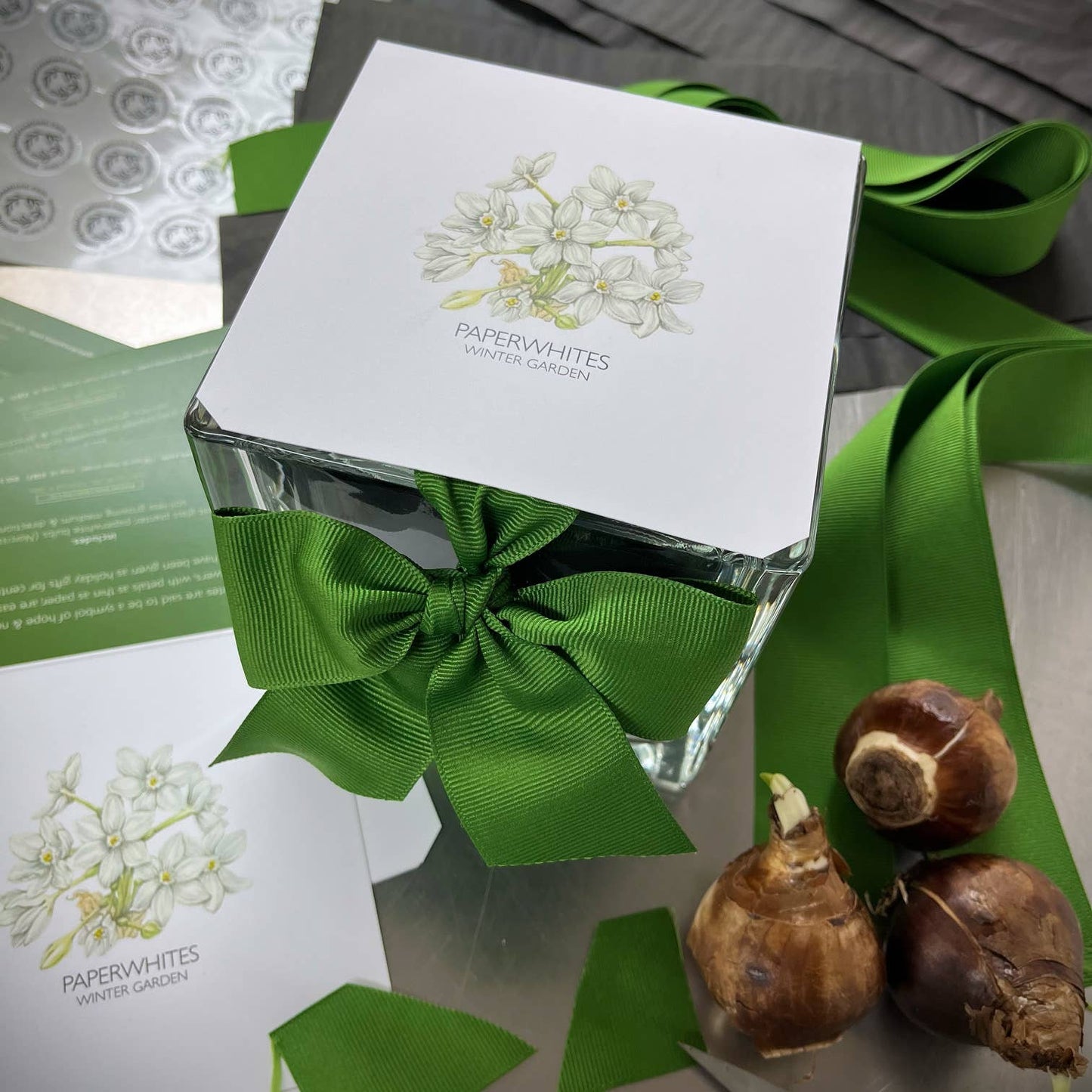 Paperwhites Winter Garden Gift Set