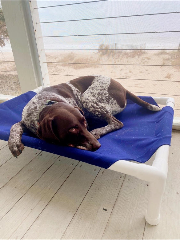 Truman + Teddy Elevated Dog Bed (Call Me Scottie)