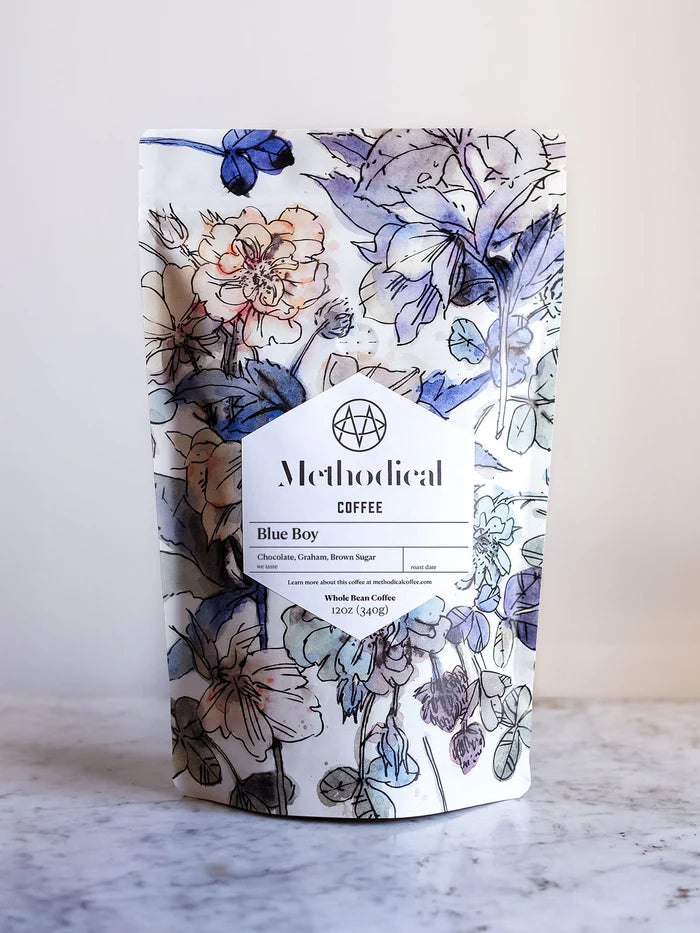 Methodical Coffee Beans | Blue Boy