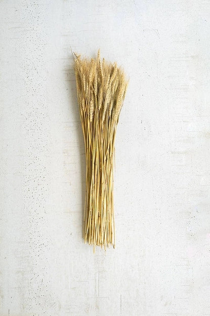 Dried Natural Wheat Stems Bundle