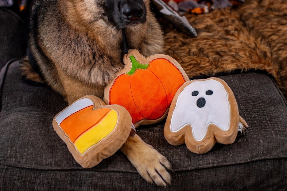 Boo Halloween Sugar Cookie Dog Toys (Set of 3)