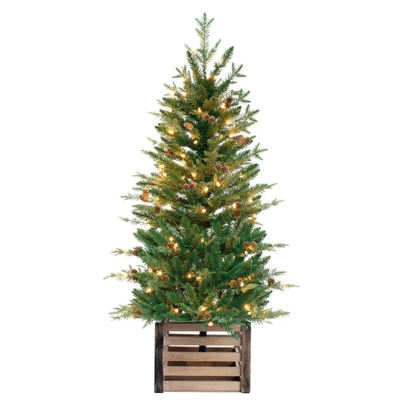 4-Foot Pre-Lit Asheville Fir Potted Christmas Tree