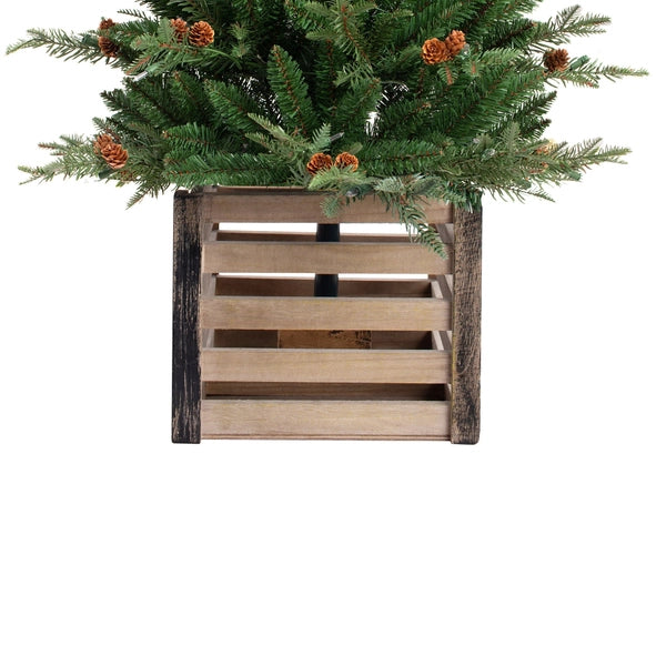 4-Foot Pre-Lit Asheville Fir Potted Christmas Tree