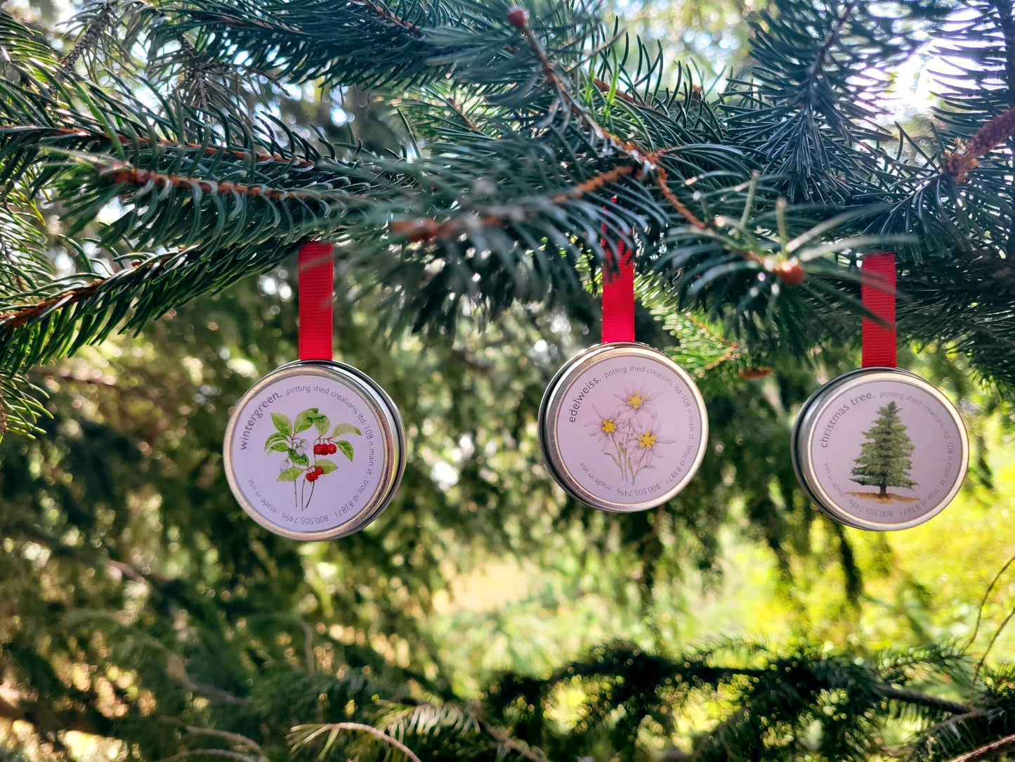 Garden Sprinkle Ornaments | Christmas Tree