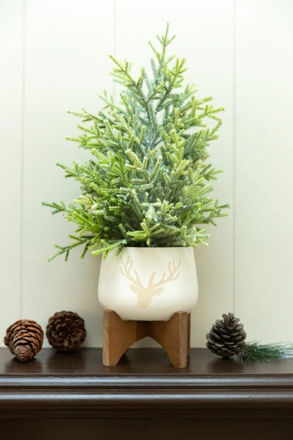 Frosted Tabletop Tree in Wooden Stand