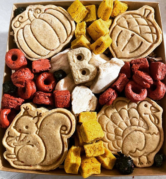 Fall "Barkuterie" Box