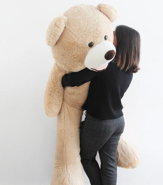 Francis the Teddy Bear (2 sizes)